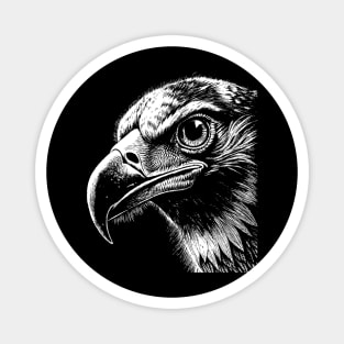 Eagle head art in linear style Magnet